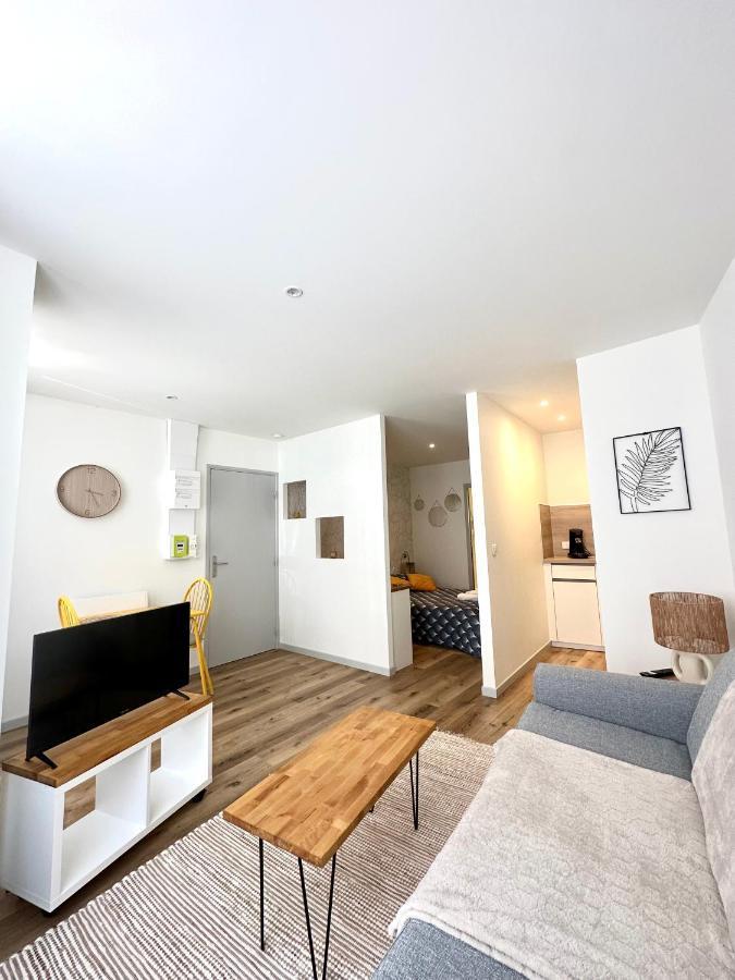 Bel Appartement En Plein Centre Ville Limoges Exteriör bild